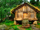 História: A Casa do Carpinteiro